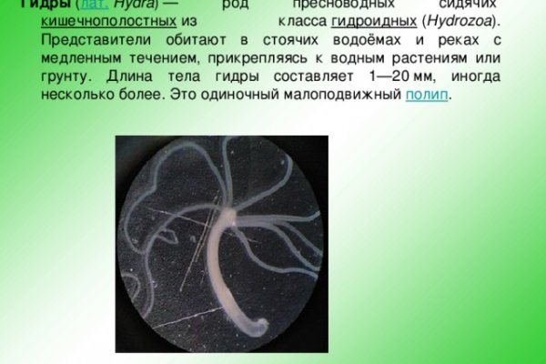 Кракен наркомагазин