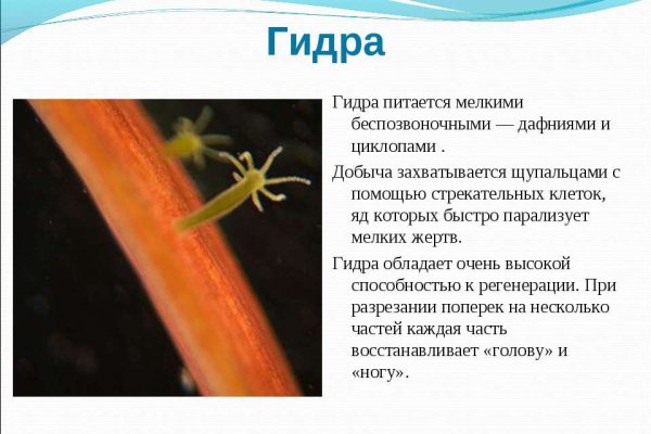 Сайт krn