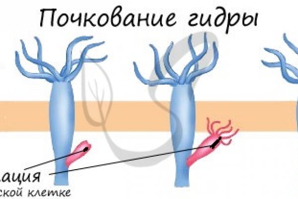 Кракен почему пользователь не найден