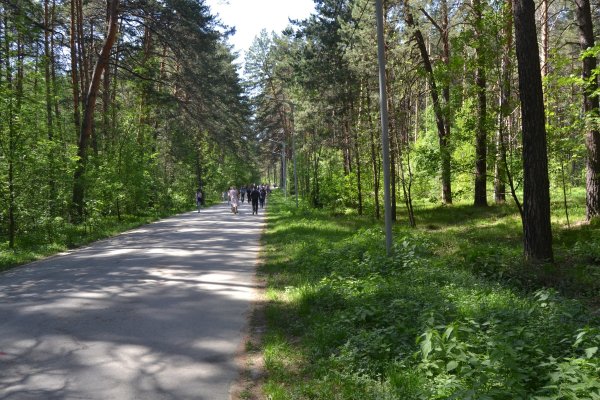 Кракен пользователь не найден