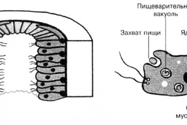 Кракен картель